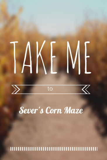 take me to sever's corn maze