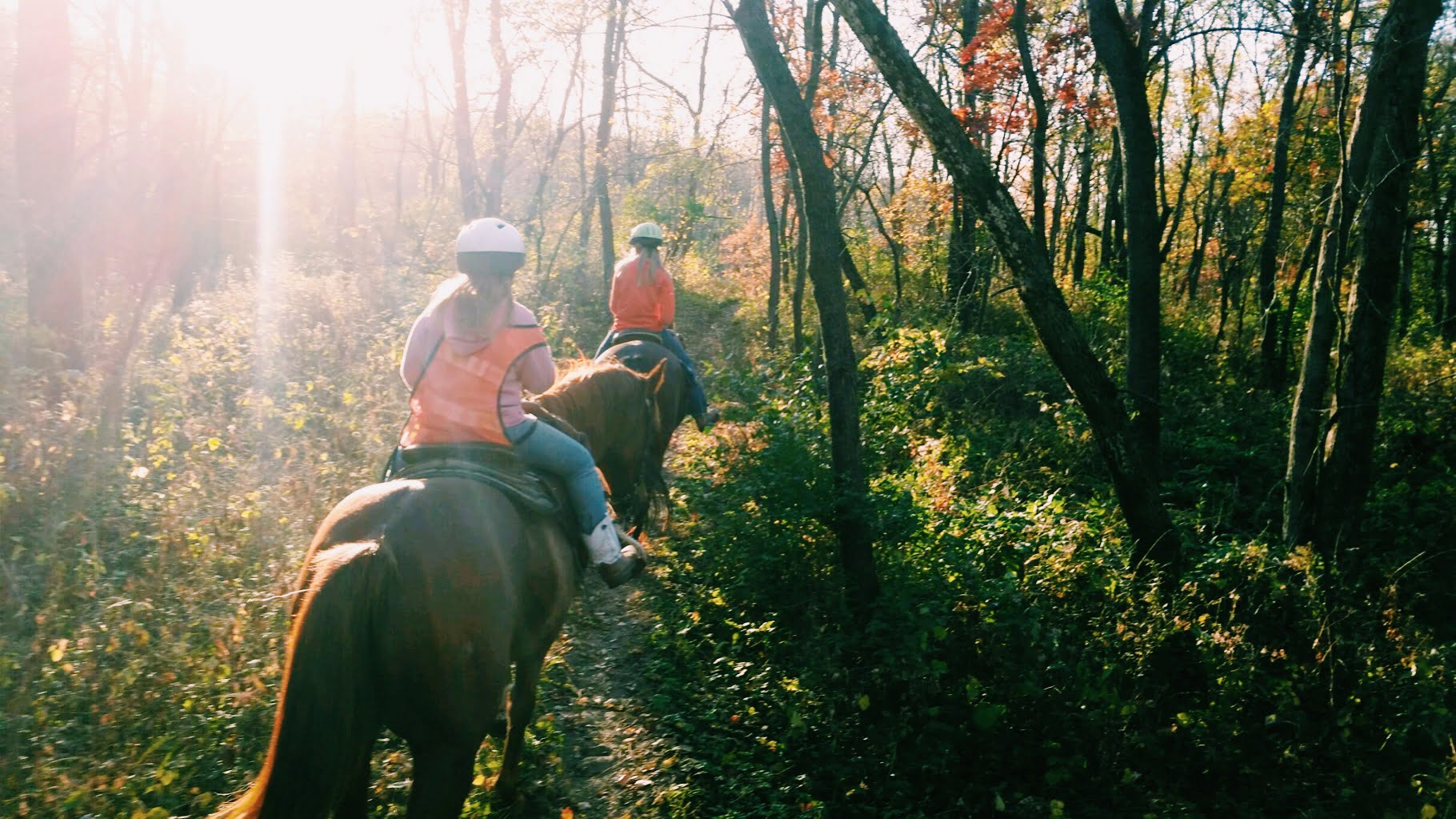 Trail Ride on a Fall Day