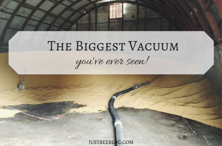 The Biggest Vacuum You’ve Ever Seen