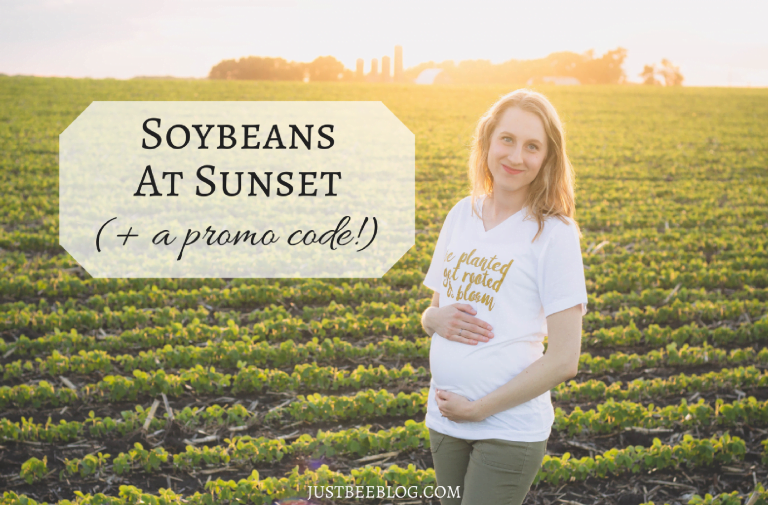 Soybeans at Sunset (+ a promo code!)