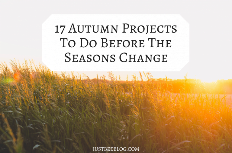 17 Autumn Projects To Do Before The Seasons Change